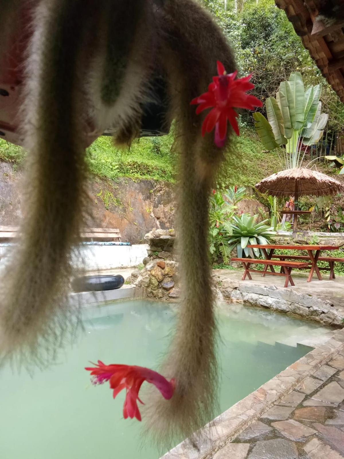 Refugio Boa Sorte , Sana Macae Rj エクステリア 写真